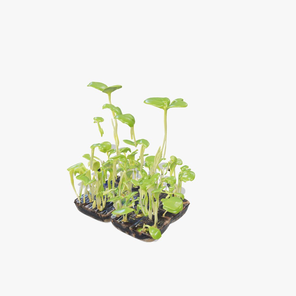 Vegetable Seedlings Realistic Texture model pack